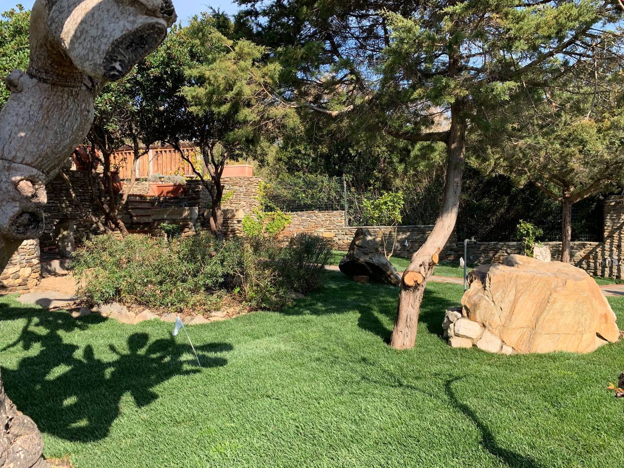 Villa La Mimosa — 4